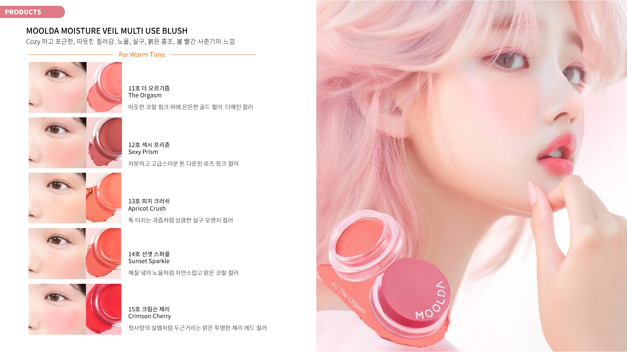 MOOLDA 모이스처 베일 멀티 유즈 블러셔 컬러 차트 (For Warm Tone)